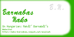 barnabas mako business card